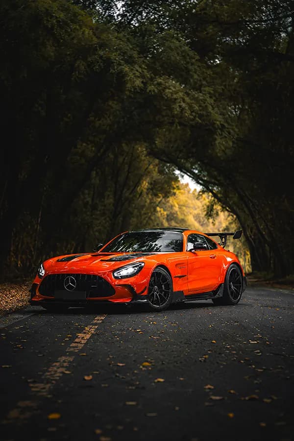 Prisma Panels artwork Orange Forest GT