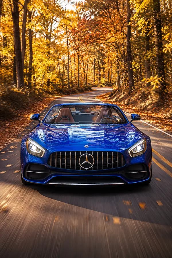 Prisma Panels artwork Blue Autumn Roadster
